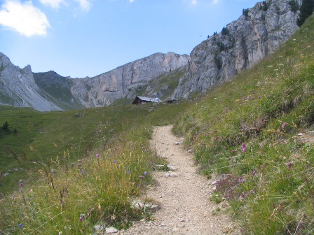 Sentiero verso il Rifugio Vallaccia